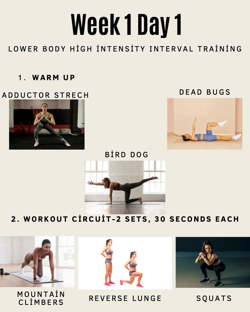 Fitsique | 1 Week Full Body At Home Workout Guide | No Equipment (Digital/Printable)